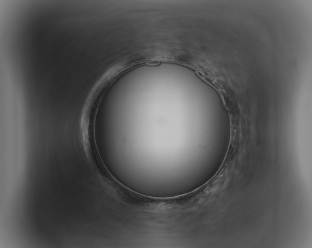 X0000102300197200808011409