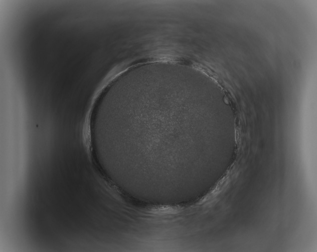 X0000102300198200808011409