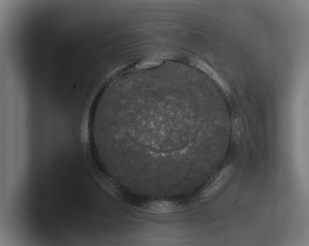 X0000102300203200808011409