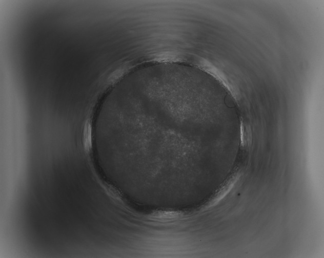 X0000102300205200808011409