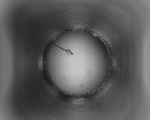 X0000102300206200808011409