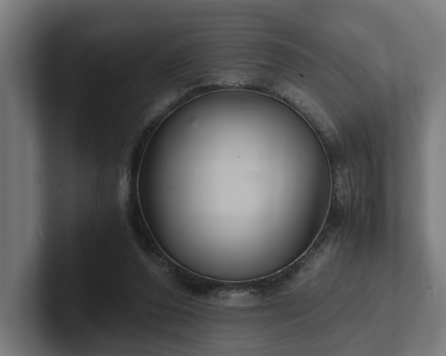 X0000102300208200808011409