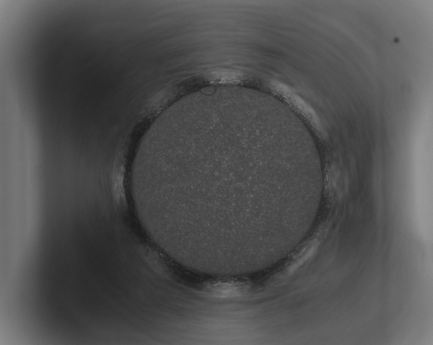 X0000102300209200808011409