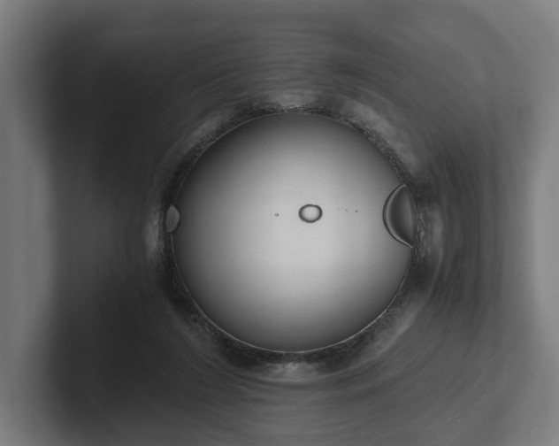 X0000102300212200808011409