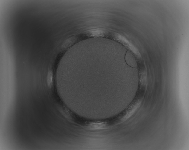 X0000102300213200808011409