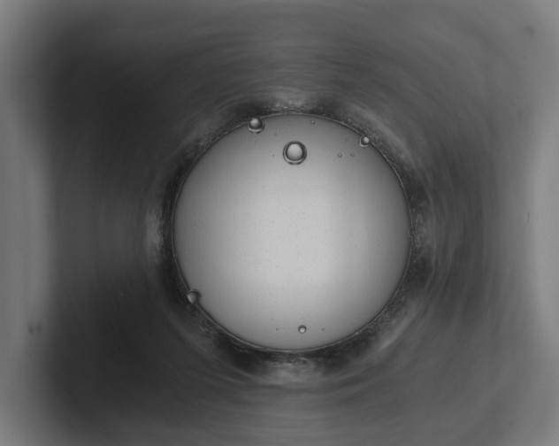 X0000102300215200808011409