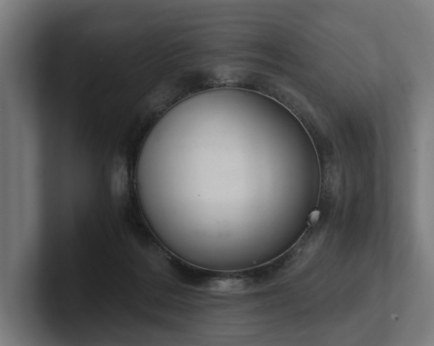 X0000102300220200808011409