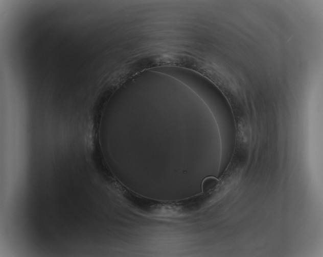 X0000102300223200808011409