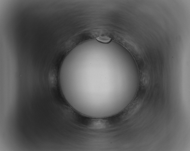 X0000102300226200808011409