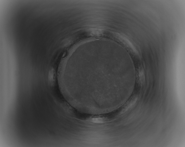 X0000102300228200808011409