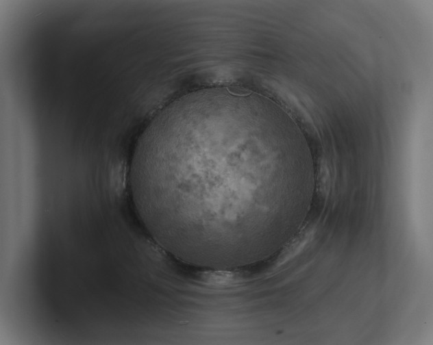 X0000102300230200808011409