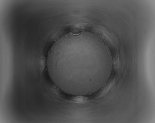 X0000102300231200808011409