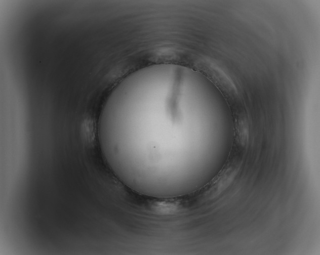 X0000102300232200808011409