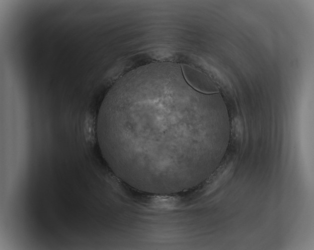 X0000102300234200808011409