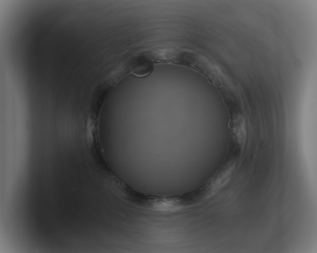 X0000102300235200808011409