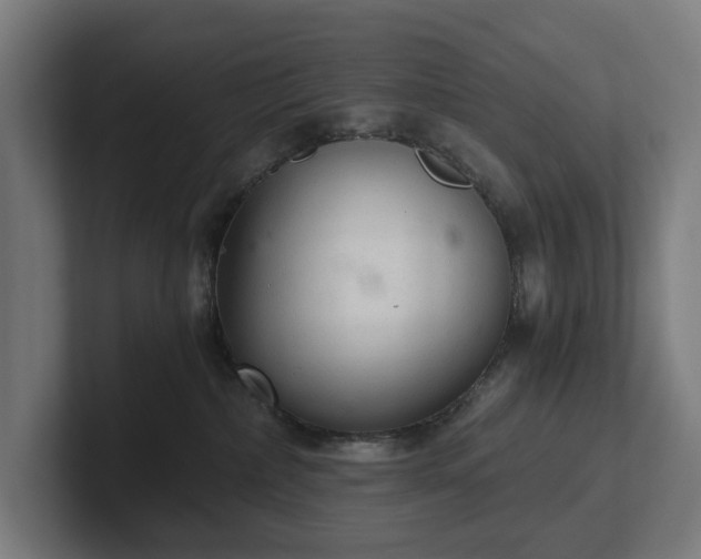 X0000102300236200808011409