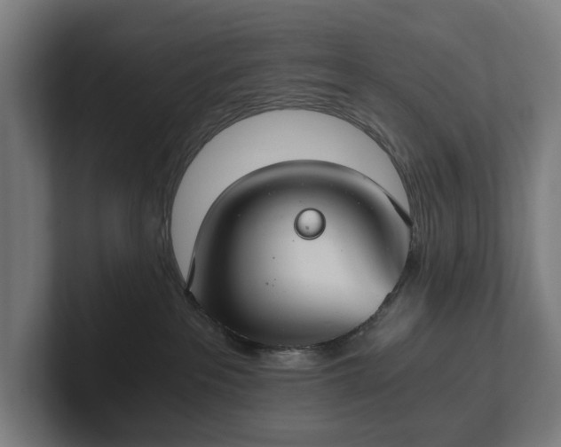 X0000102300237200808011409