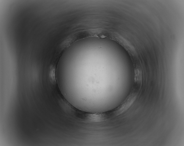 X0000102300238200808011409