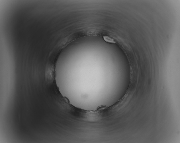 X0000102300240200808011409