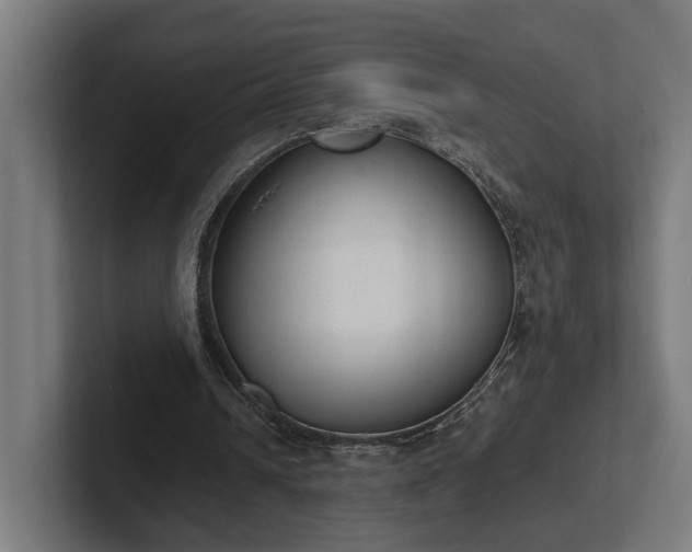 X0000102300242200808011408