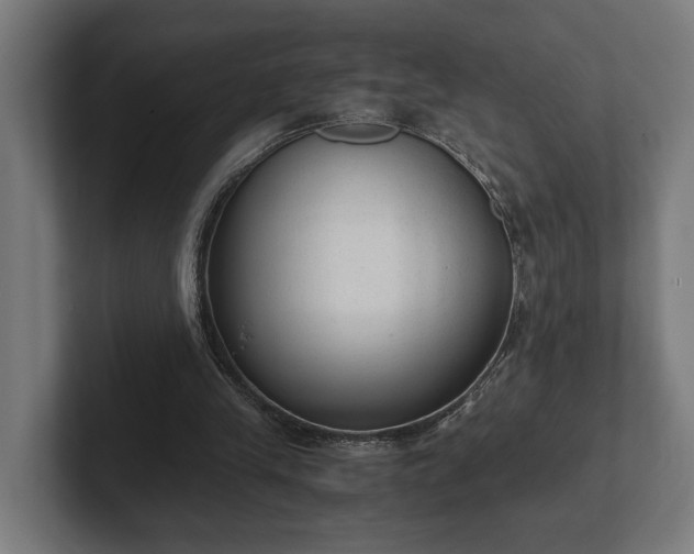 X0000102300245200808011408