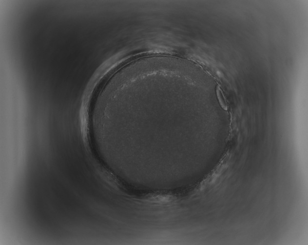 X0000102300247200808011408