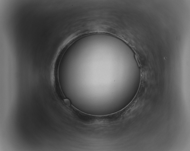 X0000102300248200808011408