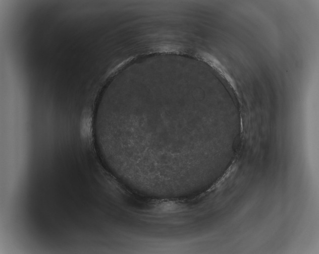 X0000102300249200808011408