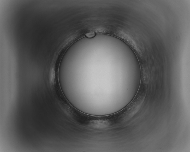 X0000102300251200808011408