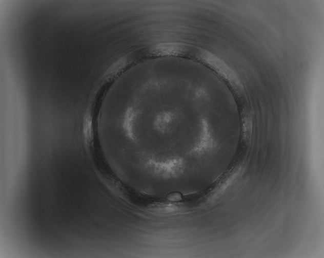 X0000102300254200808011408