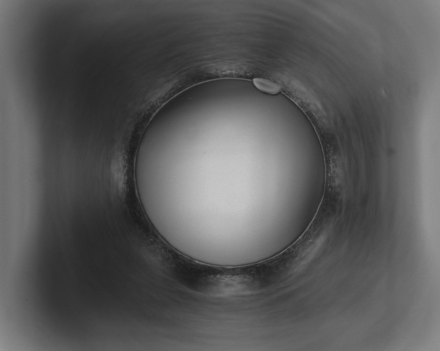 X0000102300255200808011408