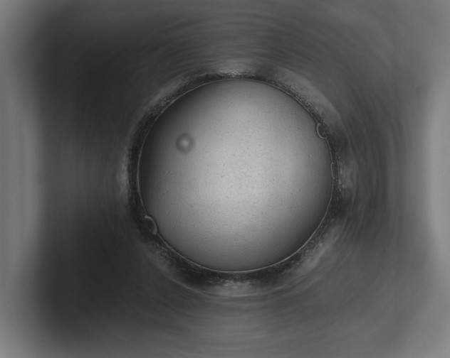 X0000102300256200808011408