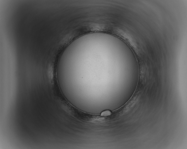 X0000102300257200808011408