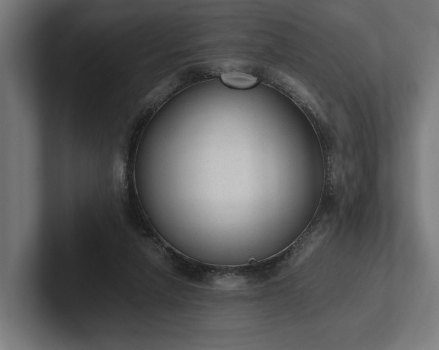 X0000102300258200808011408