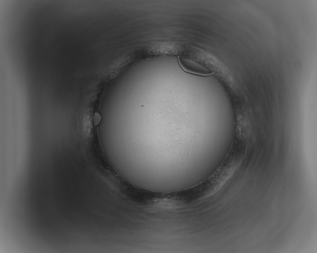 X0000102300259200808011408