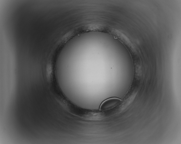 X0000102300260200808011408