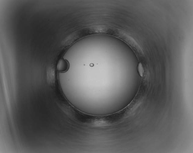 X0000102300262200808011408