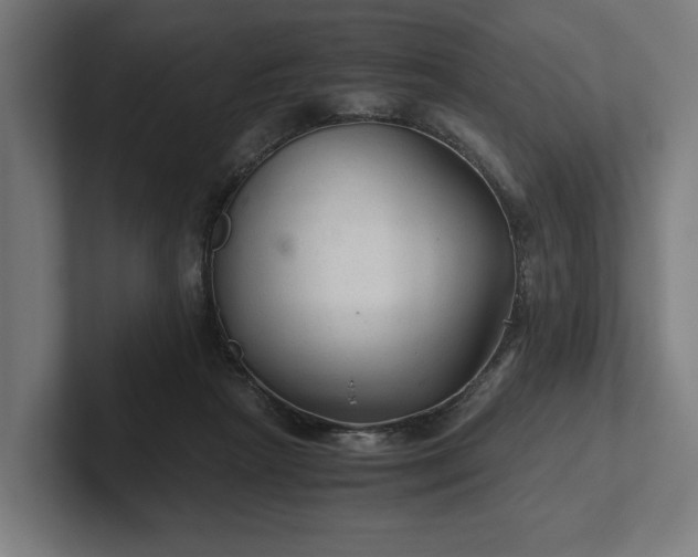 X0000102300265200808011408