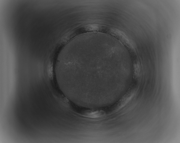 X0000102300267200808011408