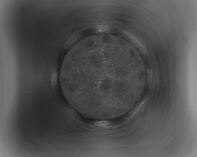 X0000102300269200808011408