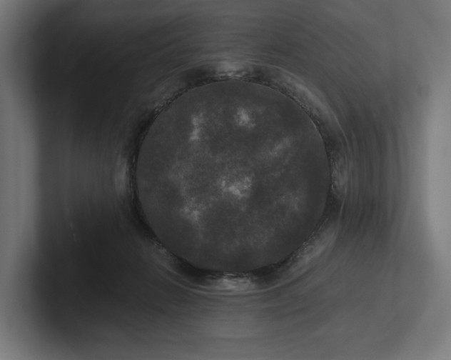 X0000102300270200808011408