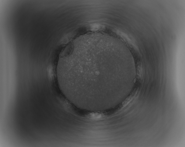 X0000102300272200808011409