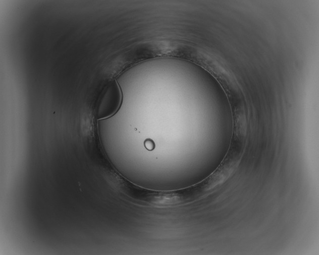 X0000102300274200808011409