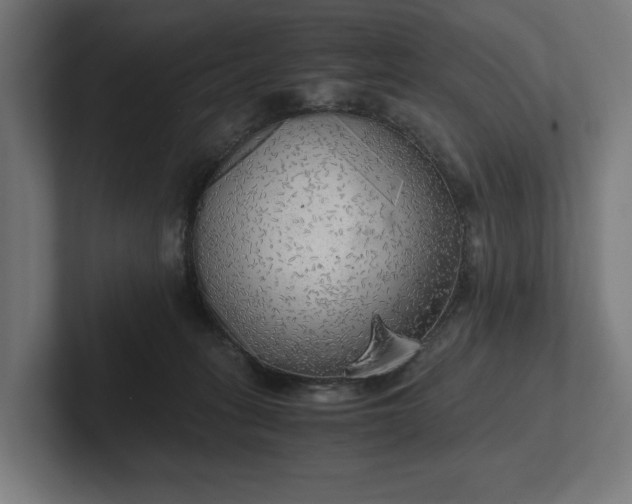 X0000102300275200808011409