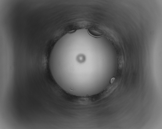 X0000102300279200808011409