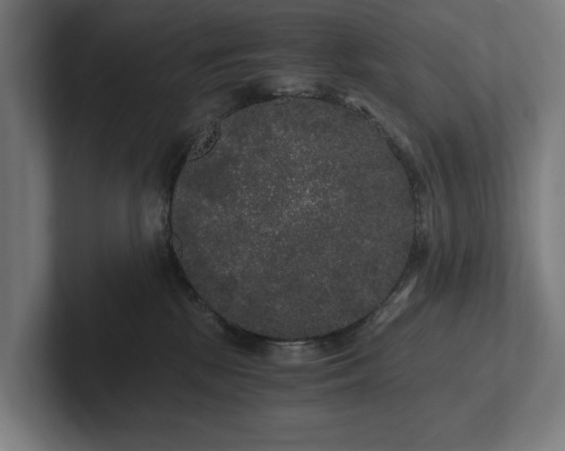 X0000102300281200808011409