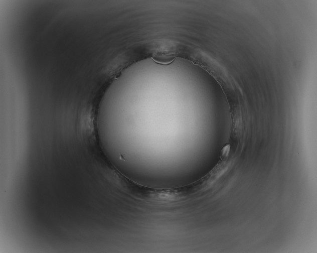 X0000102300282200808011409