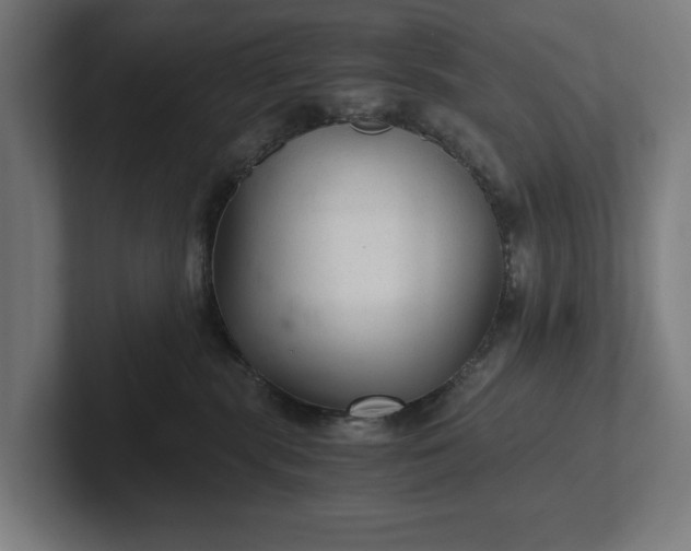 X0000102300283200808011409