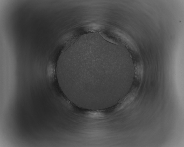 X0000102300284200808011409