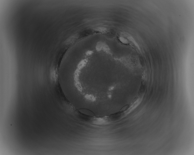 X0000102300285200808011409